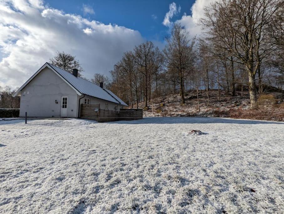 Beautiful And Cosy House Near The Lake Olofström Kültér fotó